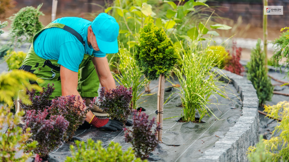 Simple 4 Steps To Start Landscaping Business 