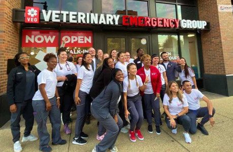 Veterinary Emergency Group