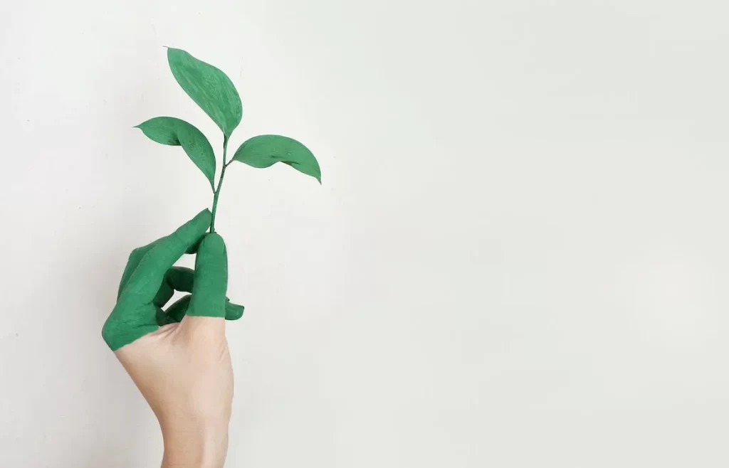 From Profit To Purpose: Embracing Sustainability In Business Practices