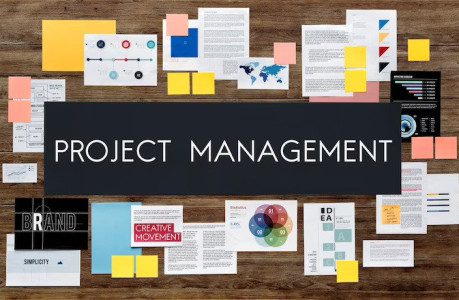 Enterprise-Level Project Management