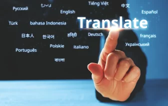 Professional translation service