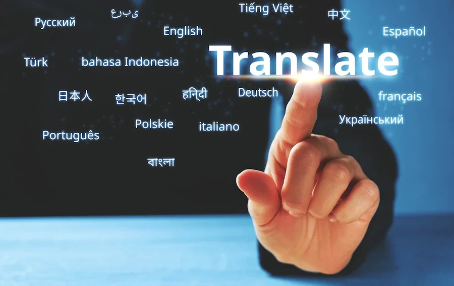 Professional translation service