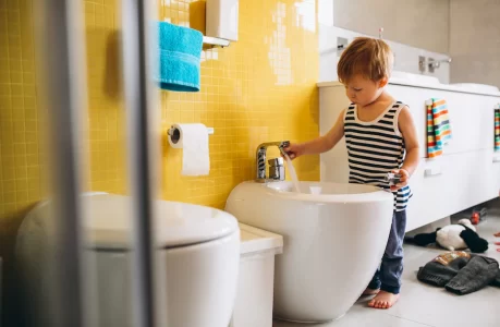 Choosing Your Dream Toilet