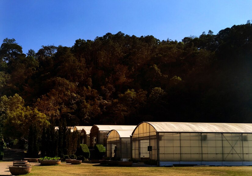 The Significance Of Farm Buildings: Vital Assets In The Agricultural Landscape