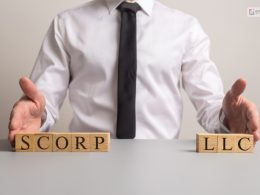 LLC Vs. S Corp: What Are They? Differences & Benefits