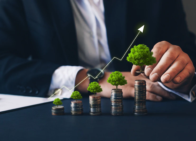 Understanding Donor Advised Funds: A Comprehensive Guide