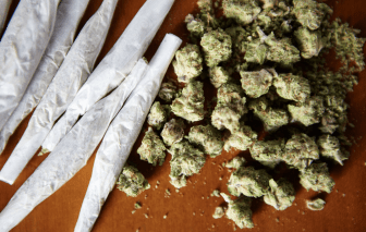 Navigating the Complexities of Marijuana Charges and Their Impact on Society
