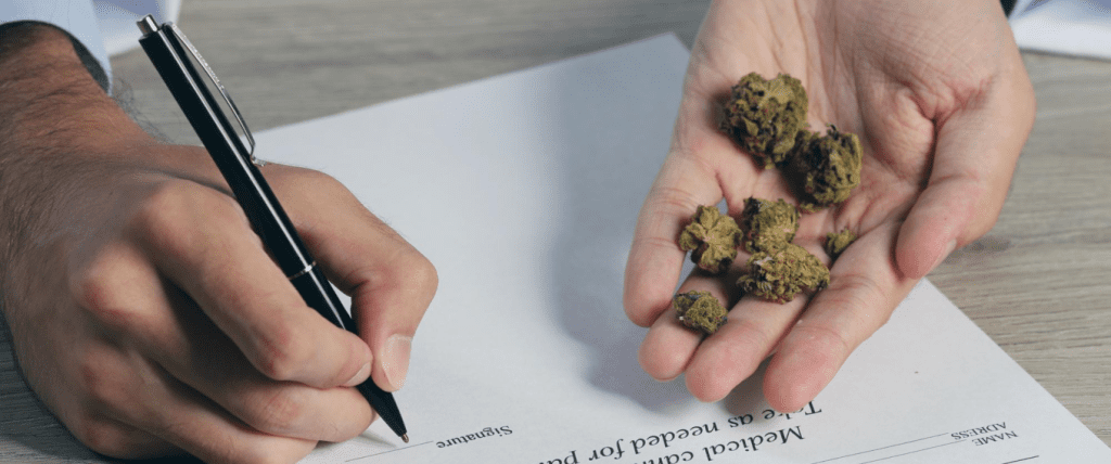 Social Consequences of Marijuana Convictions