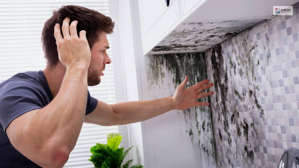 What is Mold Toxicity