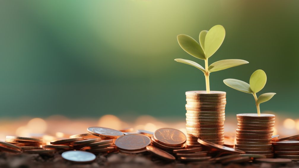 Small Cap Mutual Funds