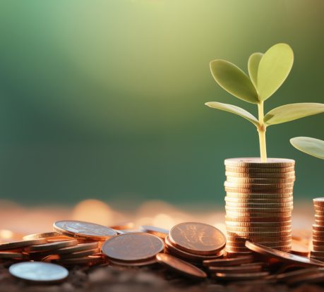 Small Cap Mutual Funds