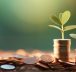 Small Cap Mutual Funds