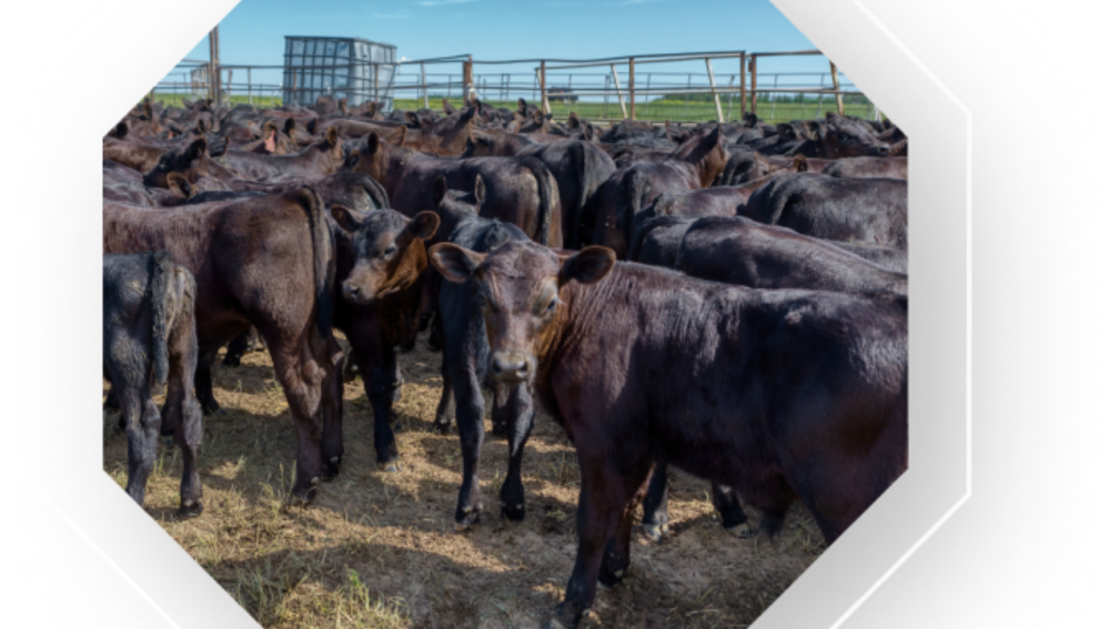 Business Cost of Food Waste