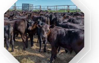 Business Cost of Food Waste