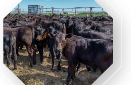 Business Cost of Food Waste