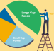 Large Cap Mutual Funds