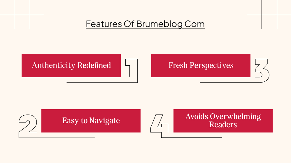 What Are The Key Features Of Brumeblog Com